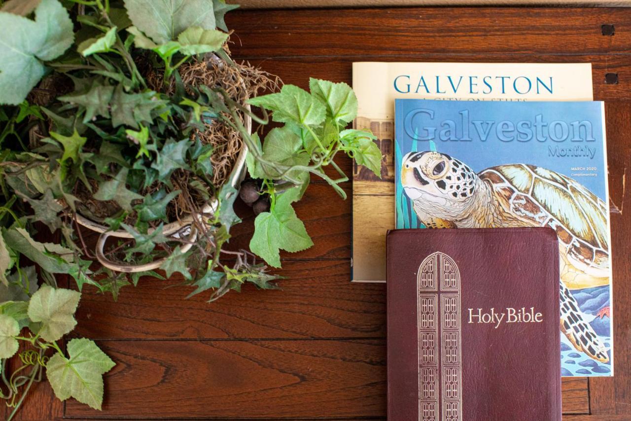 Relax At Our Beach Haven - Pet Friendly Galveston Esterno foto